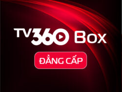 ĐẲNG CẤP BOX