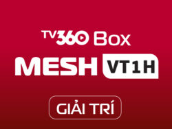 MESHVT1H - GIAITRI BOX