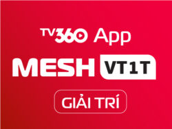 MESHVT1T
