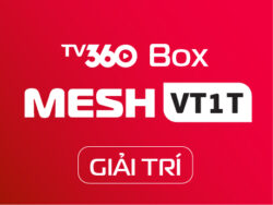 MESHVT1T_GIAITRIBOX