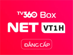 NETVT1H - DANGCAP BOX