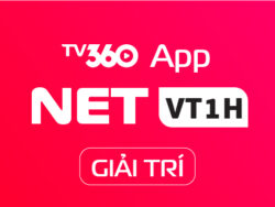 NETVT1H - GIAITRI