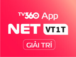 NETVT1T_GIAITRI