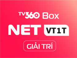 NETVT1T_GIAITRIBOX