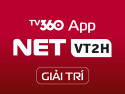 NETVT2H - GIAITRI